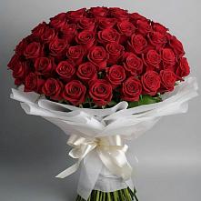 Букет 101 Красная роза Блэк Мэджик в Халино