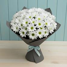 Букет цветов из:  Хризантемы #REPLACE_PRED# Халино