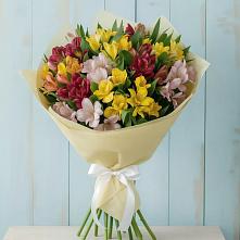 Букет цветов из:  Альстромерии #REPLACE_PRED# Халино