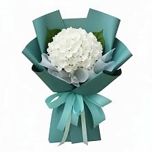 Букет цветов из:  Гортензия #REPLACE_PRED# Халино